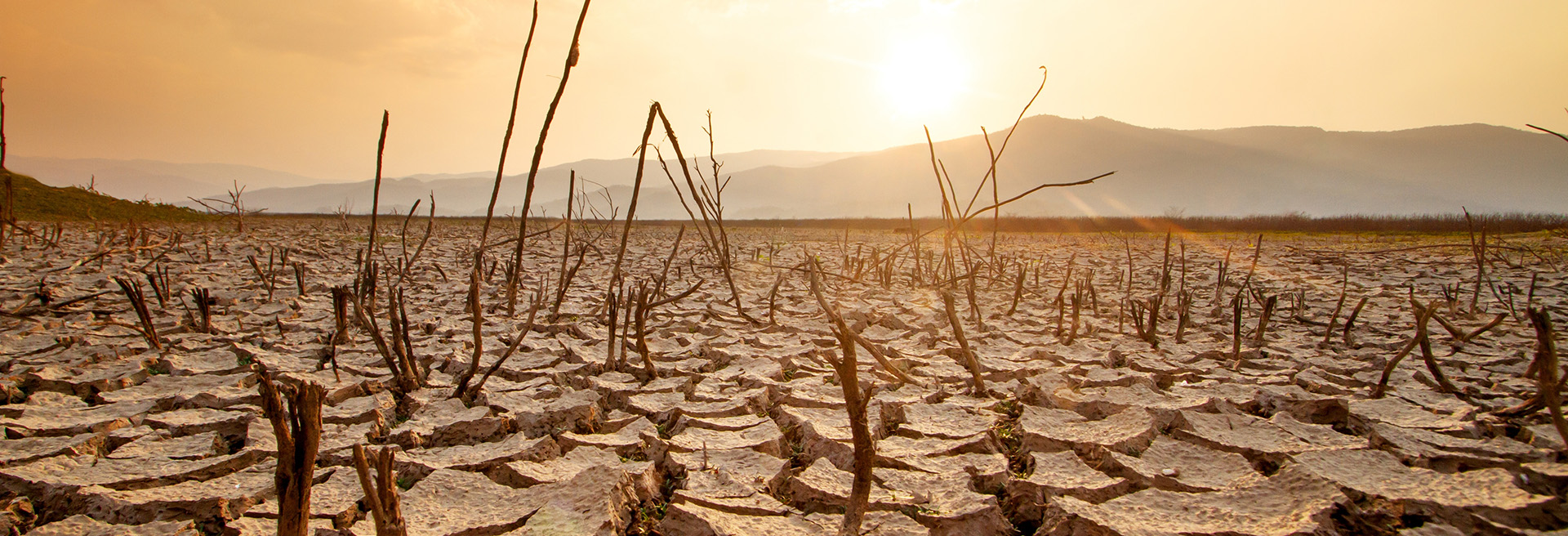 Cambio climático