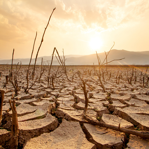 Cambio climático