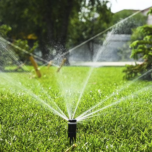 Jardin inteligente