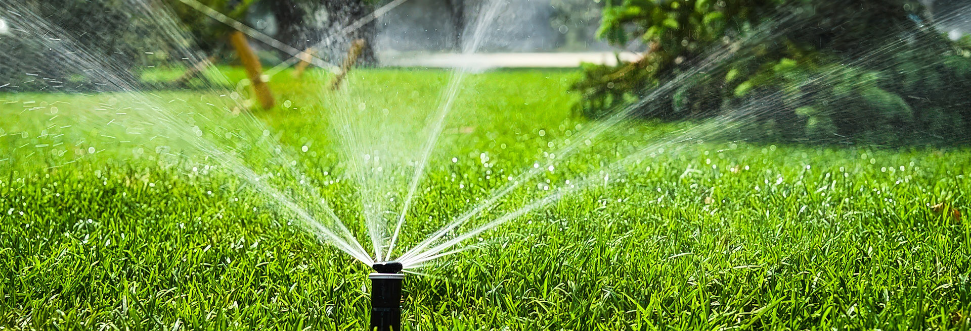 Jardin inteligente