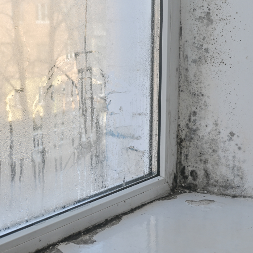 ¿Cómo detectar las humedades? ¿Qué medidas debes tomar? 