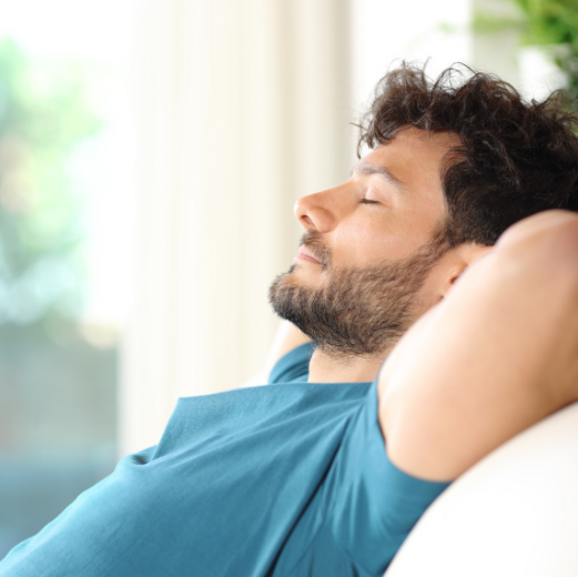 Reduce el estrés en tu casa gracias a estas IAs 