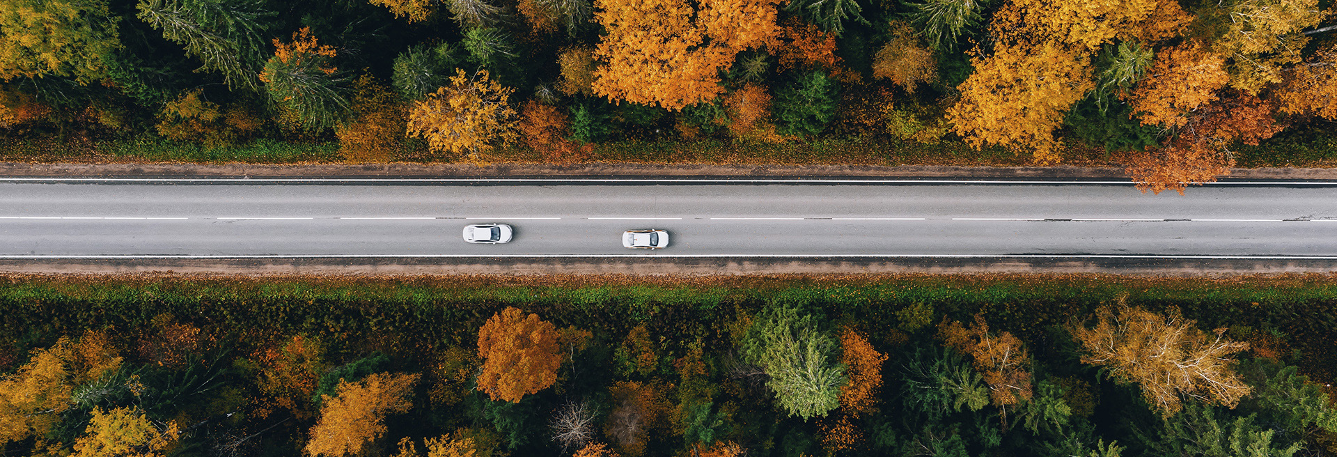 Vehiculos EIV