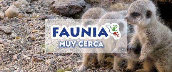 Faunia y Mutua Madrileña