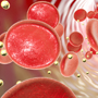 Robótica y salud: acción en los glóbulos rojos