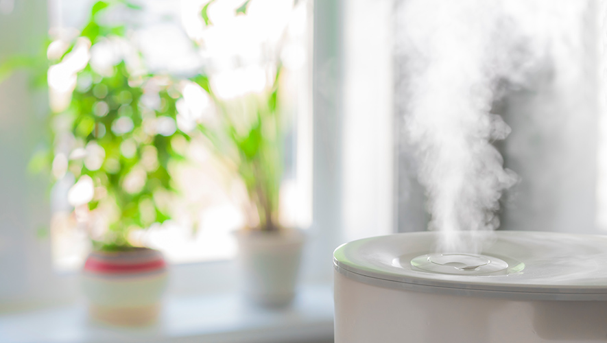 Los purificadores de aire son dispositivos esenciales para tener en nuestro hogar- ÓN