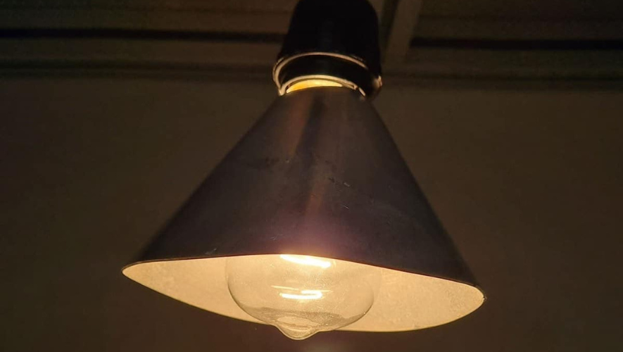 Conoce cómo podrás purificar el aire de tu casa con las lámparas - ÓN