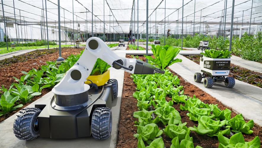 Estos son los avances en innovación que ayudan a la producción agrícola – ÓN
